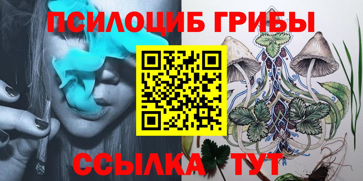 Галлюциногенные грибы Psilocybine cubensis Сыктывкар