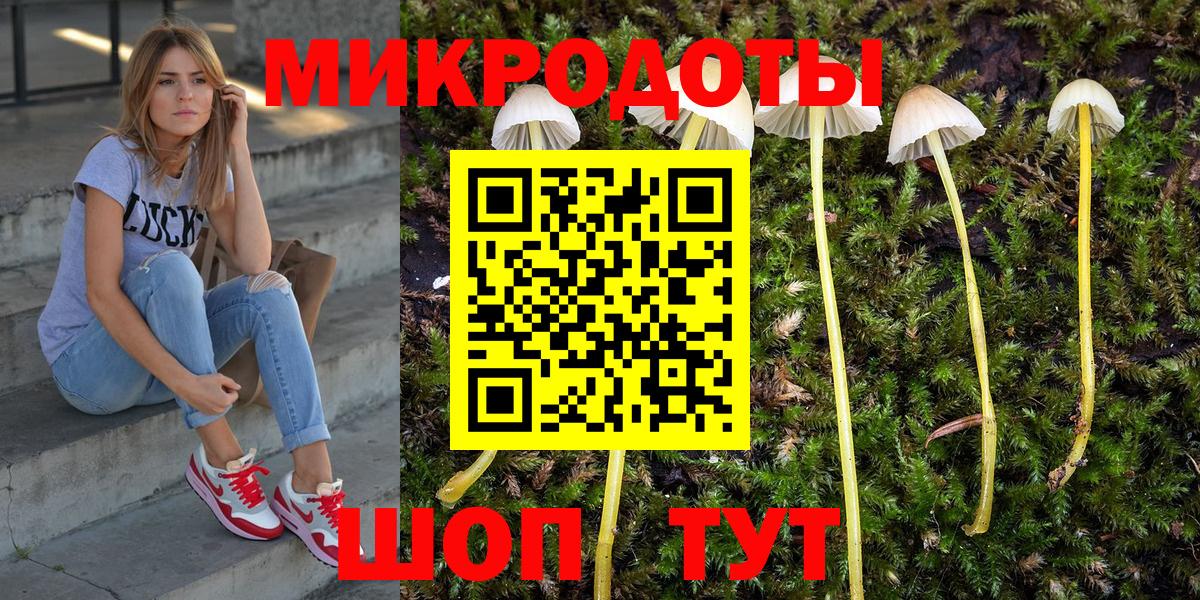 Псилоцибиновые грибы Psilocybe  сколько стоит  Вход с VPN  Сыктывкар  Псилоцибиновые грибы мицелий 