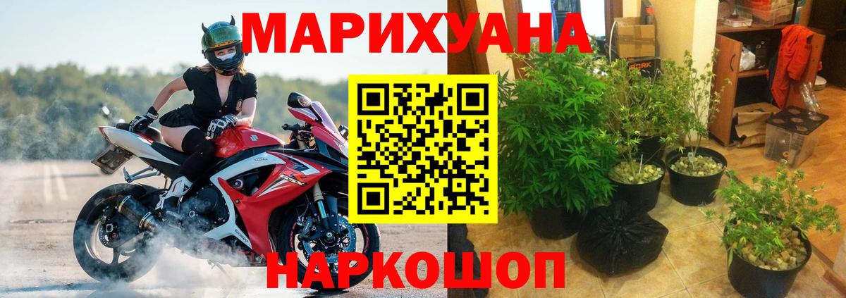 Конопля MAZAR  Марихуана конопля  Вход с VPN  Сыктывкар 